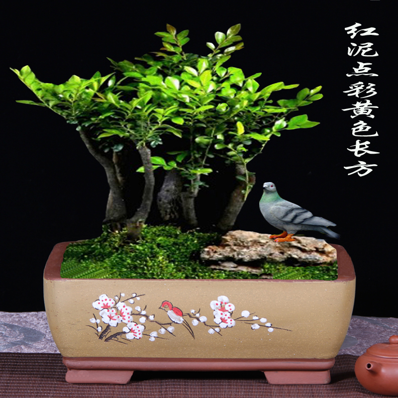 紫砂花盆长方形马槽盆景盆陶瓷盆栽花卉室内植物梅花榕树老桩