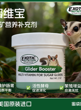 Exotic伊哥硕蜜袋鼯专用益生菌维生素营养膏粉调理肠胃增强免疫力