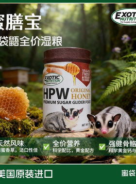 Exotic伊哥硕蜜袋鼯专用主粮全价湿粮高蛋白全阶段即食冲泡粮食