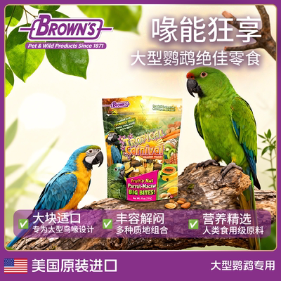 BROWNS宝莱思大型鹦鹉零食黄蓝金刚葵花亚马逊鹦鹉坚果种子粮食