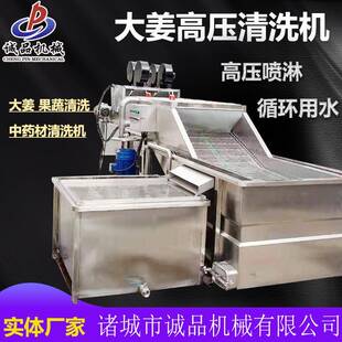生姜去泥高压喷淋清洗机商用大姜去沙去泥清洗设备鱼腥草清洗机