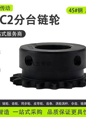 2分04C炼轮45钢成品孔25H06C06B08B10A12A16A单双排齿轮配件大全