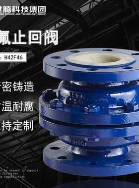 H42F46衬氟升降式止回阀DN100工业碳钢衬胶衬四氟阀门