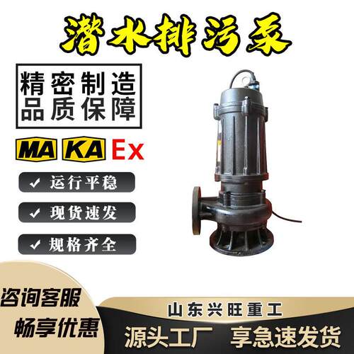 潜水排污电泵WQ10-16铸铁无堵塞双流道叶轮大流量远距离排污电泵