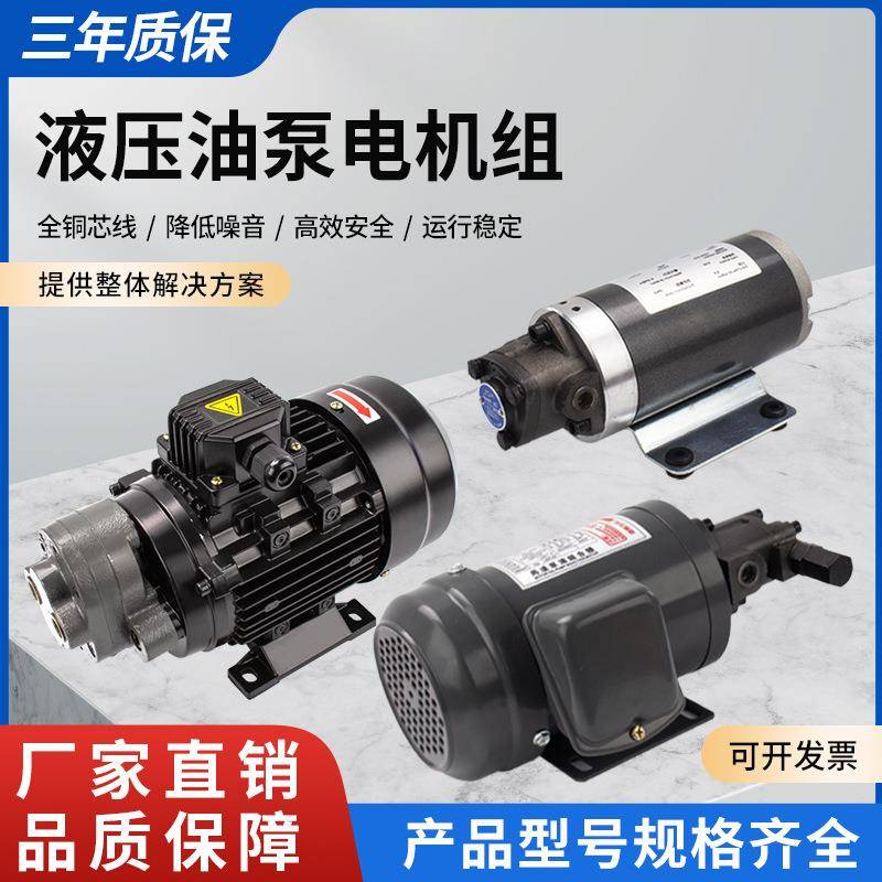 液压摆线泵TOP-10111213a三角润滑泵电动机油齿轮油泵220380V