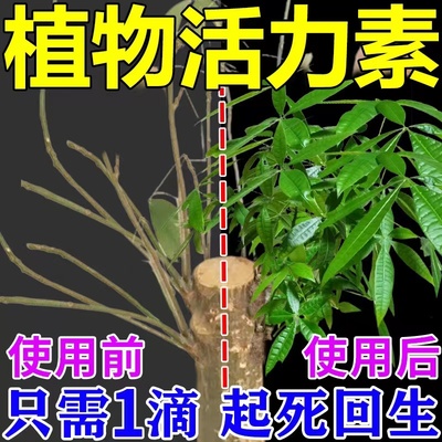 发财树叶斑病专用营养液叶子发黄起斑烂根促生长植物通用型肥料
