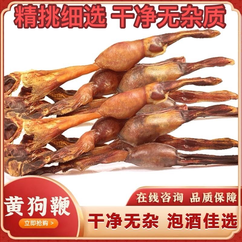狗鞭干整根狗肾狗鞭中药材狗鞭泡