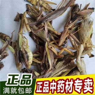 中药材 螳螂干螗螂石螂刀螂干货蟷螂 斫父 斫郎猴儿100克新货包邮