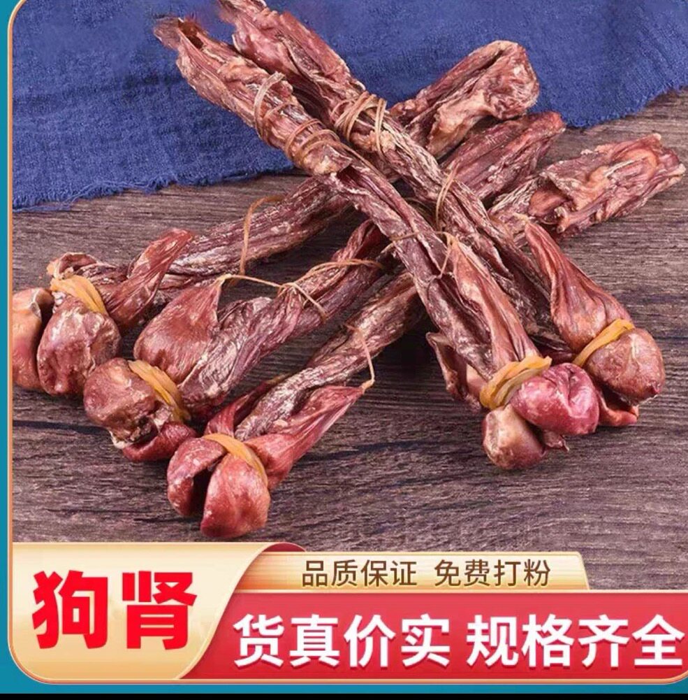 肾海鞭中药材正品海鞭狗完整全套