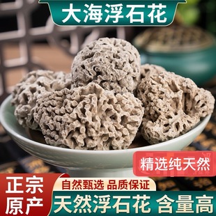 海浮石花中药材 正品海浮石大花 水泡石 海石花 浮水石500克包邮