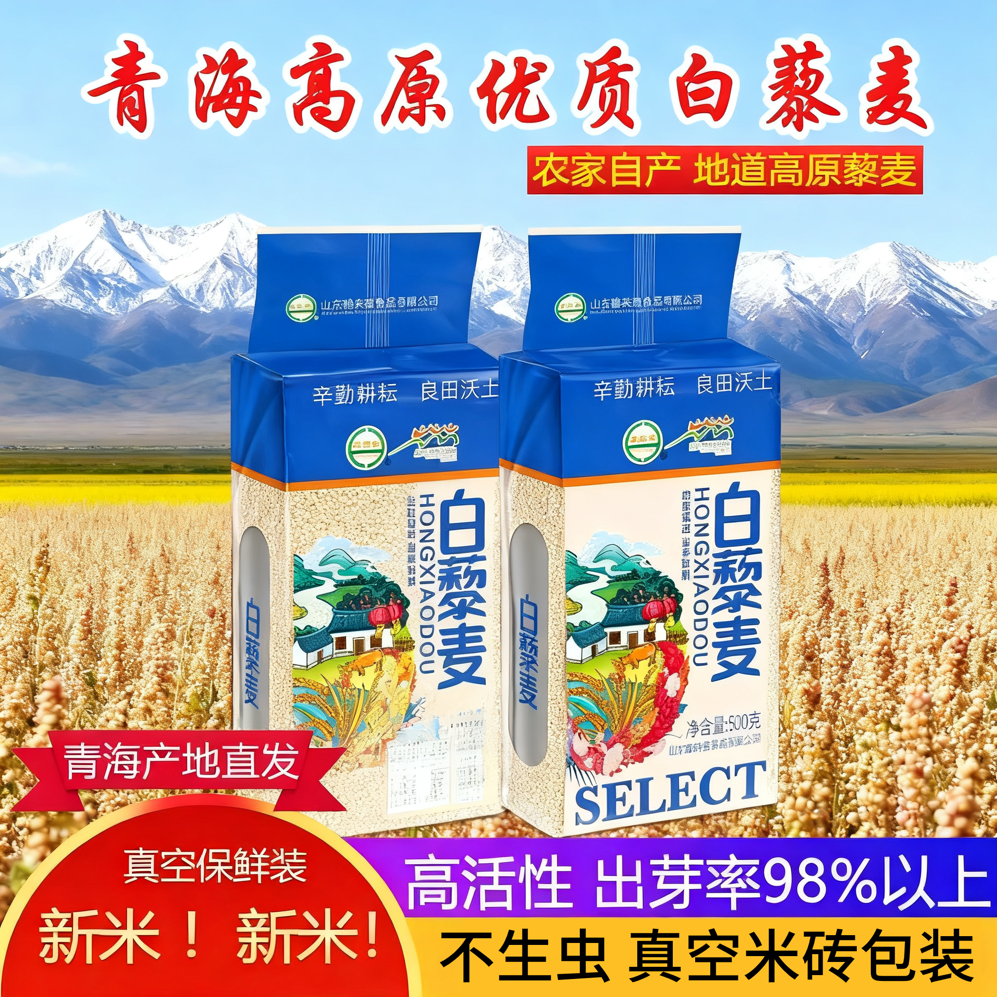 85%养生专家优先青海一级白藜麦