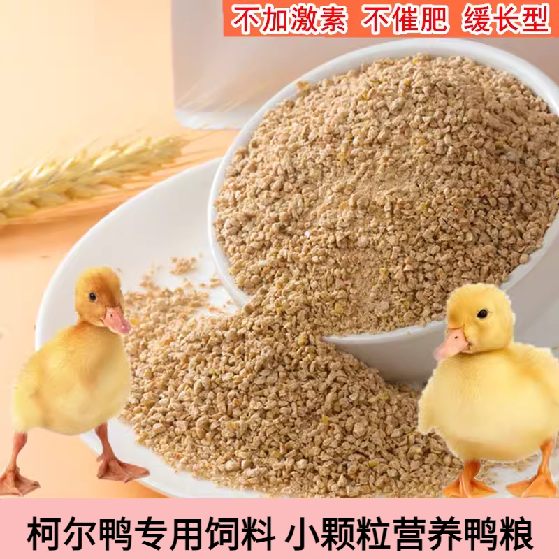 高蛋白柯尔鸭营养幼崽小鸭子丁鸡小颗粒鸭成年可达鸭专用鸭粮饲料