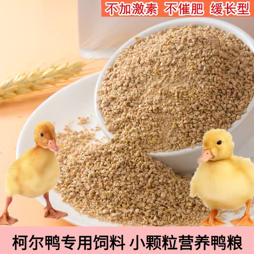 高蛋白柯尔鸭营养幼崽小鸭子饲料