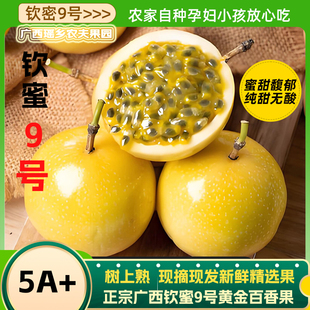 广西新品种百香果黄金钦蜜9号大果5斤新鲜水果10斤钦蜜九号特大果