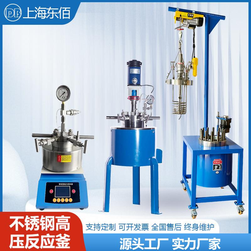 实验室用磁力搅拌高压釜不锈钢高温高压反应釜电加热加氢反应釜