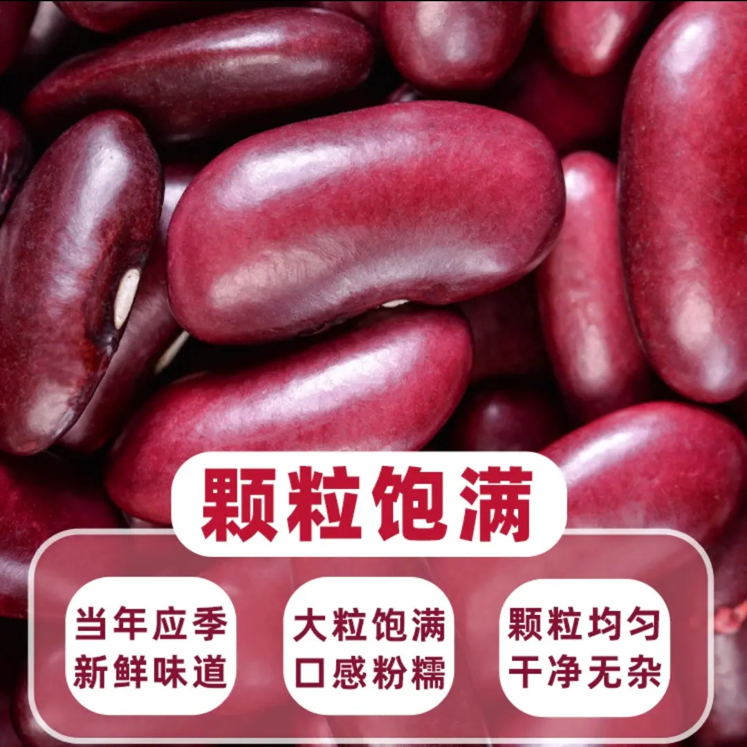 【粒大饱满】红腰豆新豆紫红芸豆大粒煲汤做馅料营养美味X