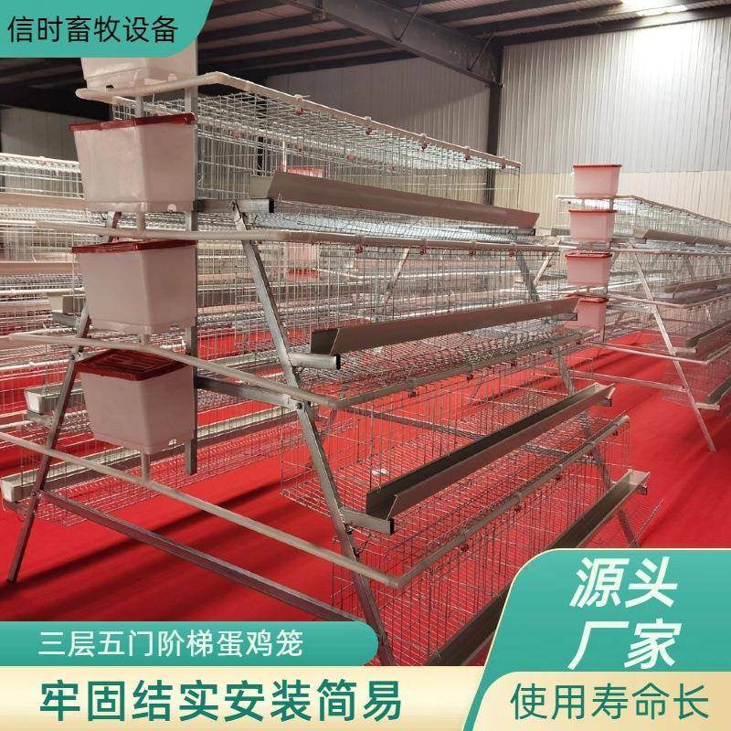 A型阶梯蛋鸡笼源头厂家三层五门阶梯蛋鸡笼热镀锌鸡舍家用养殖场