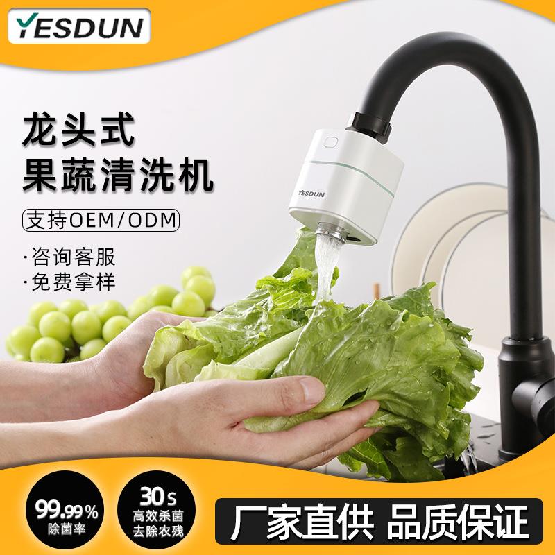 便携式智能食材果蔬净化器新款家用活氧消毒除菌去农残水果清洗机