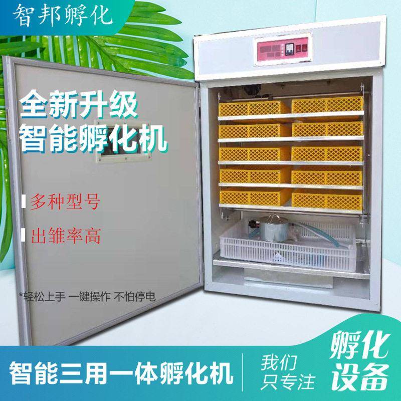 880中小型鸡鸭鹅鸽鸟孔雀蛋孵化器孵化箱小鸡孵蛋器孵化机全自动