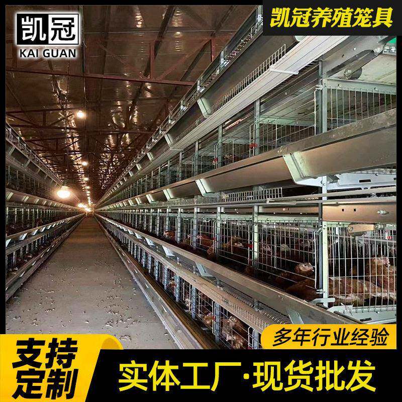 框架蛋鸡笼养殖场层叠式鸡笼子H型鸡笼工业自动化养鸡设备厂家