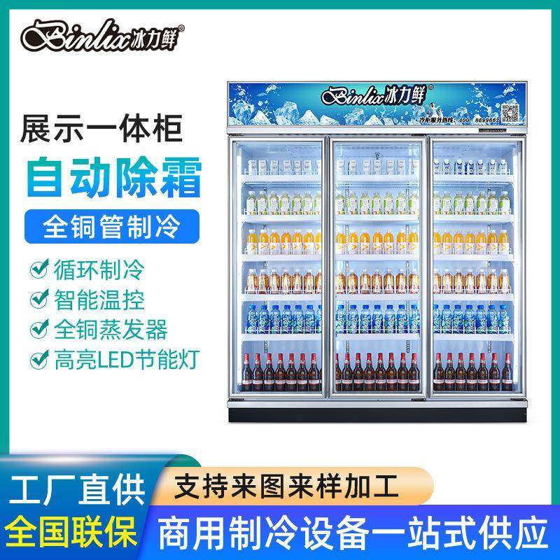 跨境供货啤酒柜保鲜展示冰柜商用连锁店饮料柜酒吧冷藏柜箱体厂家