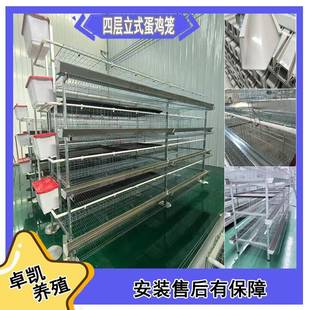 立式蛋鸡笼热镀锌多层养殖笼清粪喂料养鸡设备厂家蛋鸡笼子