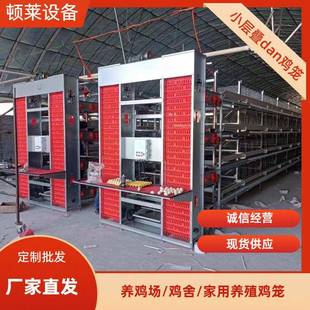 层叠式框架全自动清粪捡蛋养鸡设备H型小层叠蛋鸡笼3层/4层鸡笼