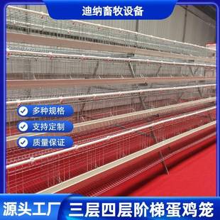 自动化养鸡笼蛋鸡笼阶梯式层叠式鸡笼子肉鸡笼雏鸡笼公鸡笼