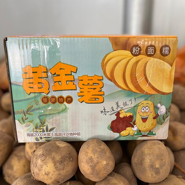 2026新鲜甘肃定西黄皮黄心土豆净重包邮粉面洋芋马铃薯