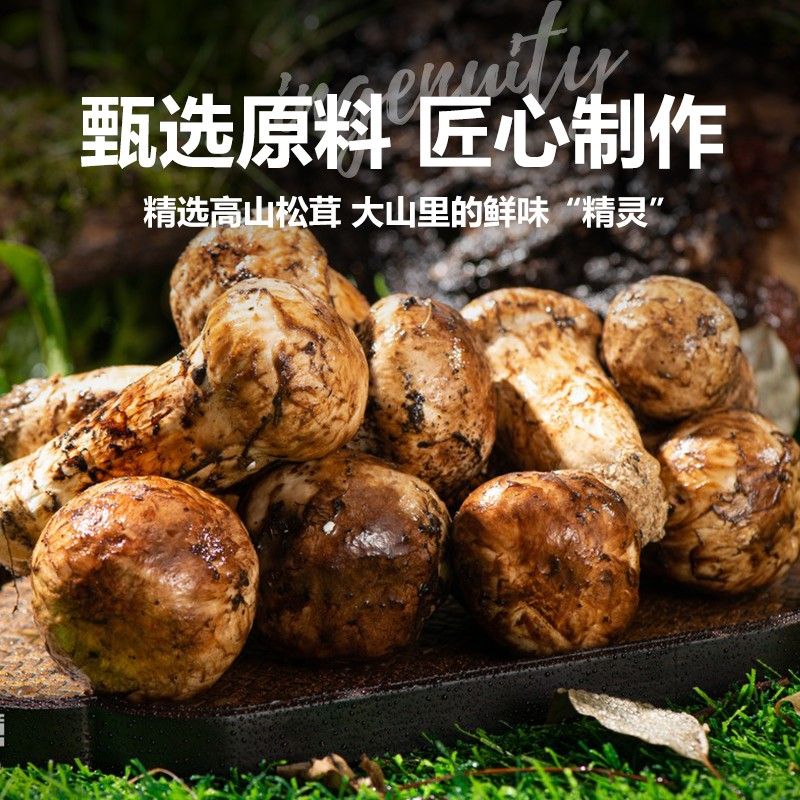 【试吃2袋 到手7袋 】松茸红烧酱汁红烧肉大棒骨红烧排骨调味酱C
