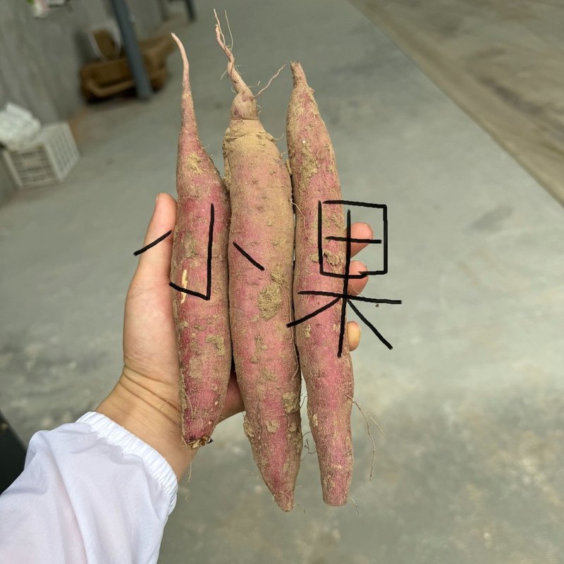 陕西板栗红薯干面粉香甜5/3斤烤地瓜板栗红薯粗粮农产品甘甜