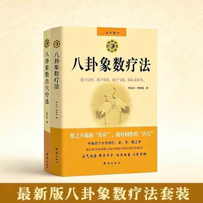 【可开票全新正版】最新版八卦象数疗法套装(全两册)——八卦象数疗法八卦象数点穴疗法团结出版社李玉山9787802143395
