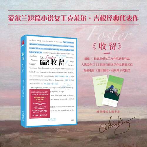 【可开票全新正版】收留 戴维伯恩斯爱尔兰写作奖获奖作品21世纪百佳爱尔兰文学榜单第五名马爱农全新译本+多幅创意插画关于童年爱