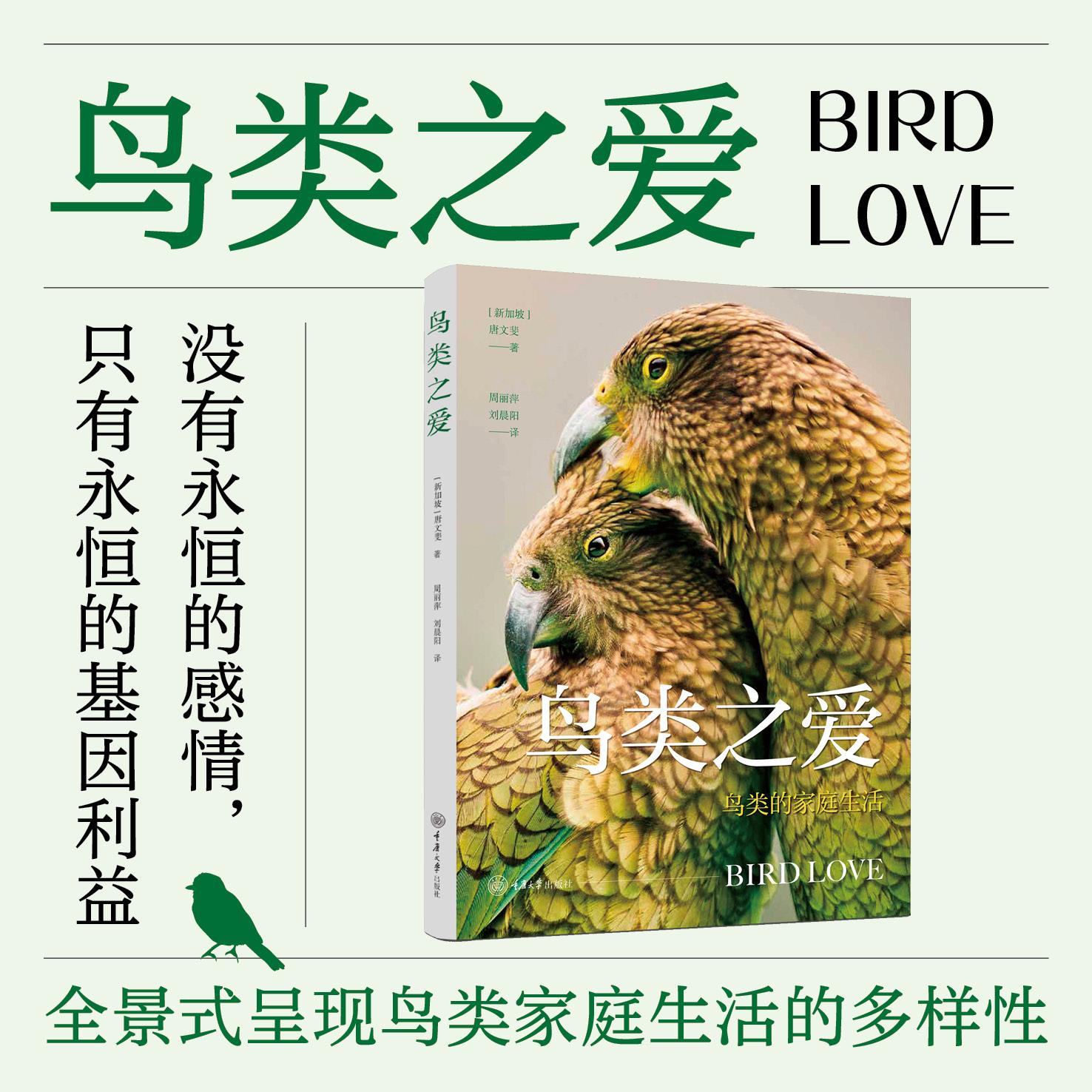 【可开票全新正版】鸟类之爱重庆大学出版社9787568960489新加坡唐文斐