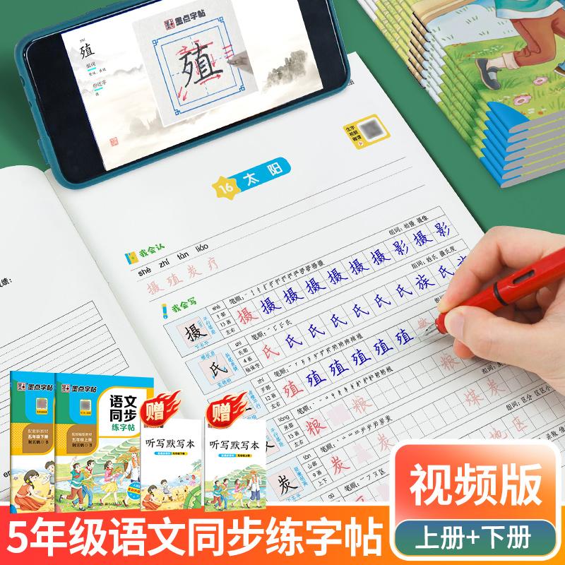【可开票全新正版】墨点字帖 五年级上下套装2册小学生语文同步练字帖人教版语文新教材同步生字练习册2026年楷书练字本描红本5年