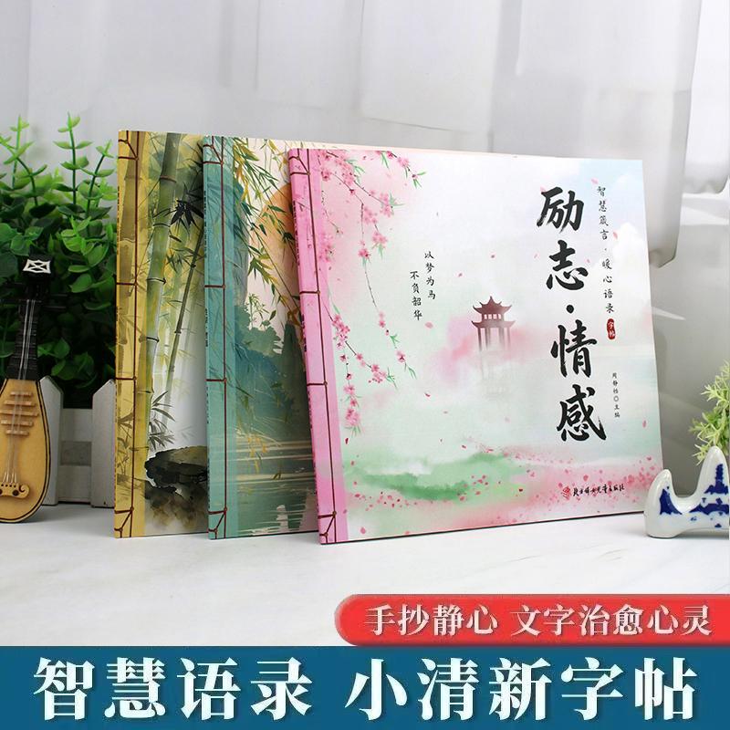 【可开票全新正版】成人练字帖【全3册】 2026新款智慧箴言静心语录系列静心修身成人正能量 方正字迹张颢硬笔楷书北方妇女儿童出