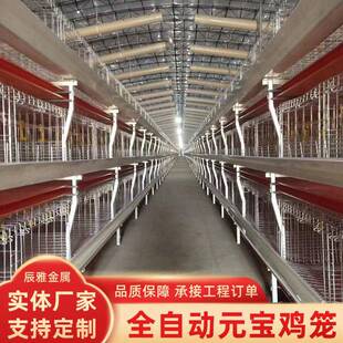 元宝肉鸡笼蛋鸡笼层叠式H型全自动肉鸡养殖笼大棚养鸡养殖鸡笼子