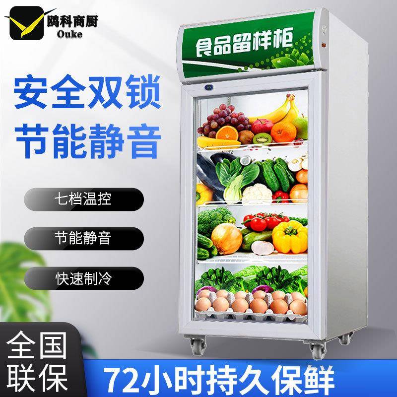 食品留样柜小型带双锁学校幼儿园酒店餐厅食堂商用水果保鲜冷藏柜