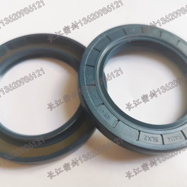 速机油封CZ A CFW BAU5SLX2 82-160-13/10