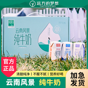 远方的梦想新希望纯牛奶心花怒FUN与云南风景早餐奶远方好物