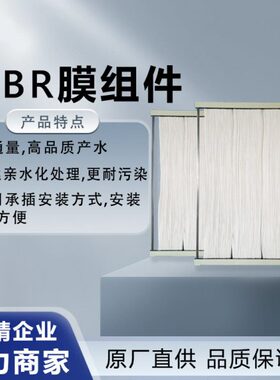 工业废水处理一体化污水处理设备帘式MBR膜组件反渗透除菌