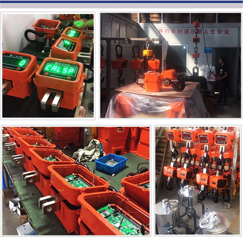 上海百鹰电子吊秤3吨OCS吊称10T行车吊秤1t5t15t吊钩秤30吊磅20吨