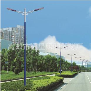 12M道路照明路灯250W双杆双臂灯led道路照明灯定制 公园广场4