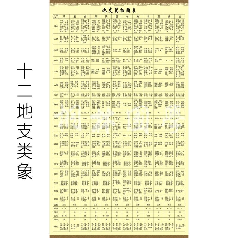 地支类象 十二地支万物类象 易经风水知识学习装饰画318图片