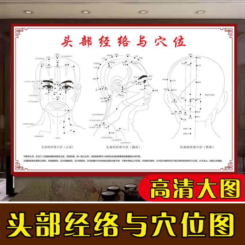 头面部经络穴位图中医养生馆挂图经脉走向图拔罐按摩推拿宣传画