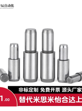 台阶定位销钉BLY01 BLY21-D5 D6 D8 D10 D13-L15L20L25L35L40L55