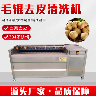 鱼类去鳞清洗一体机 商用带鱼毛辊去鳞清洗机带喷淋 型号齐全