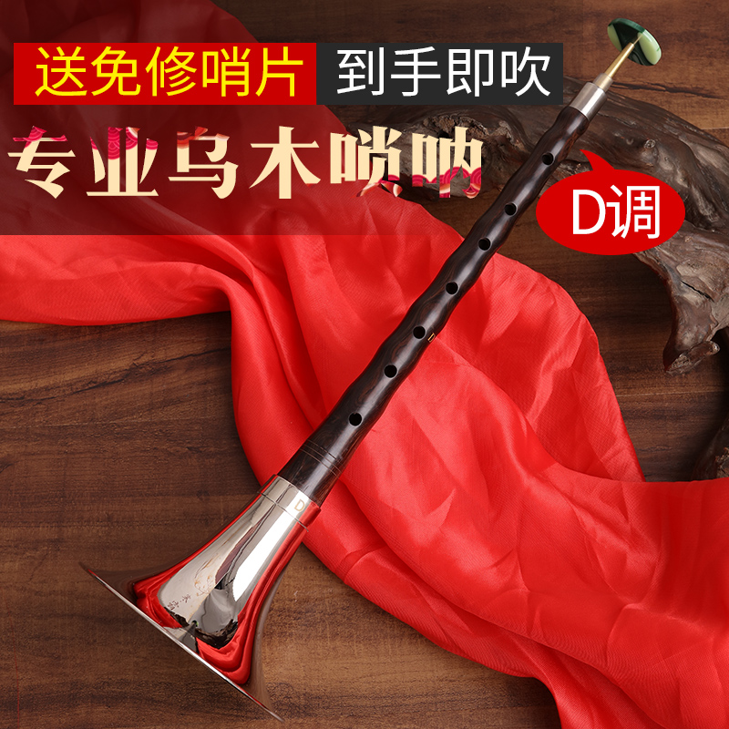 唢呐乐器全套初学者专业d调唢呐全套小唢呐 锁呐喇叭
