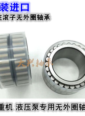 进口VTYG无外圈圆柱滚子轴承RN204 306 V RSL 185011 183012