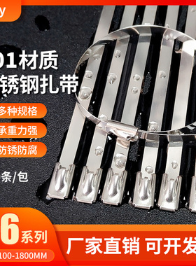 不锈钢扎带201高强度绑带4.6mm宽卡扣钢条捆带铁扎丝 金属拉紧器